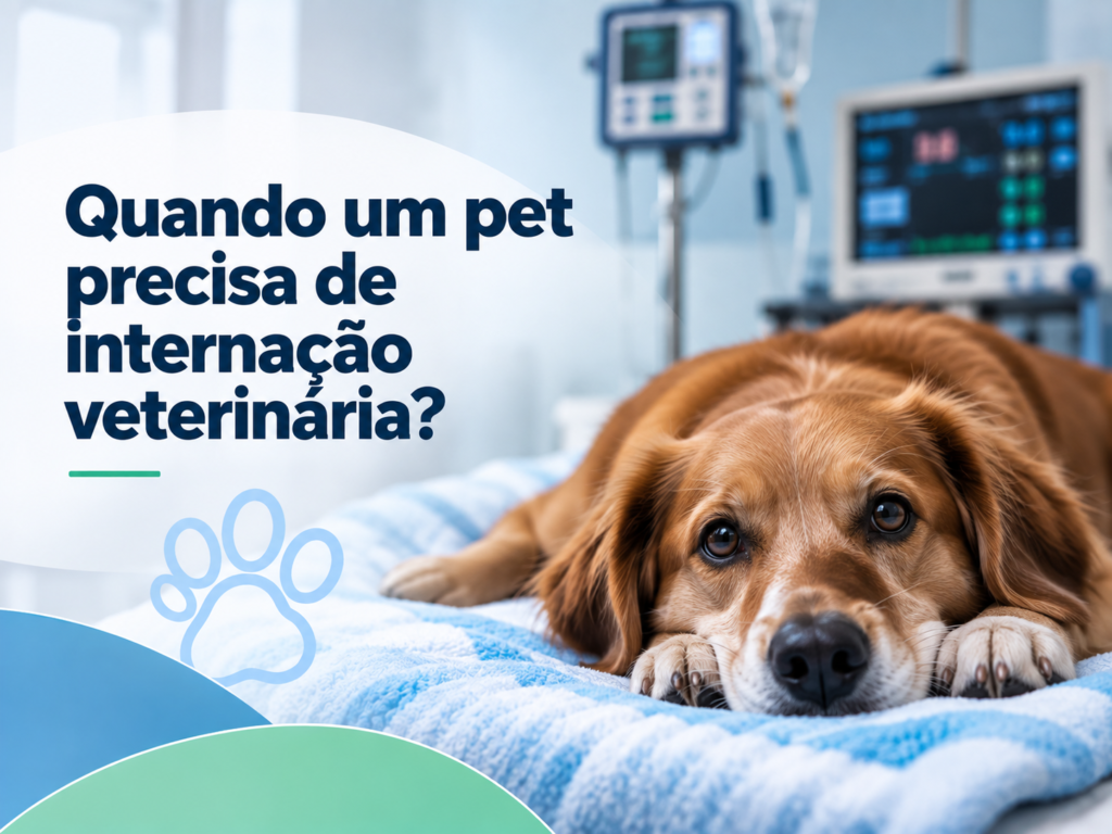 Pet em cuidados veterinários durante internação
