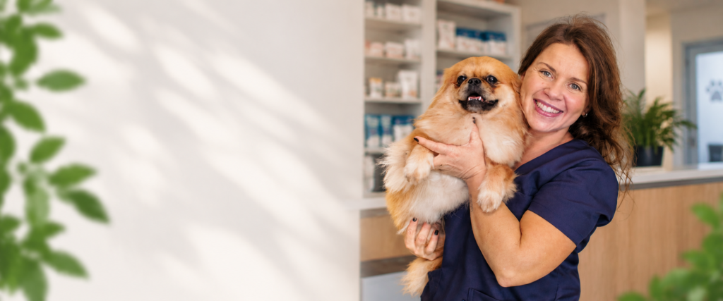 Profissional da Clínica Veterinária Amigo Fiel com cão em Blumenau