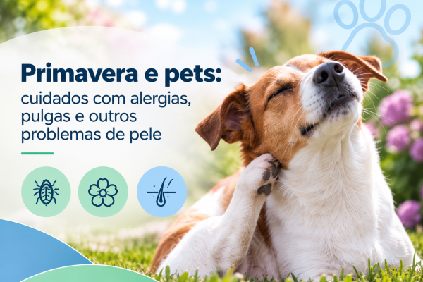 Cão e gato representando cuidados com alergias, pulgas e problemas de pele na primavera