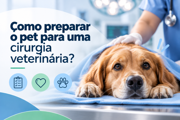 Pet sendo preparado para procedimento cirúrgico veterinário