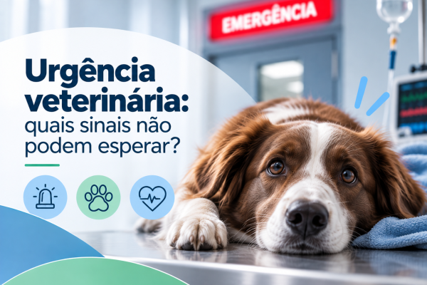 Pet em atendimento representando sinais de urgência veterinária